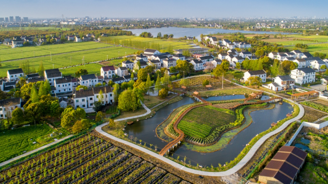 乡村抱团共谋发展共享红利 江苏苏州吴江书写“江村经济”新篇章