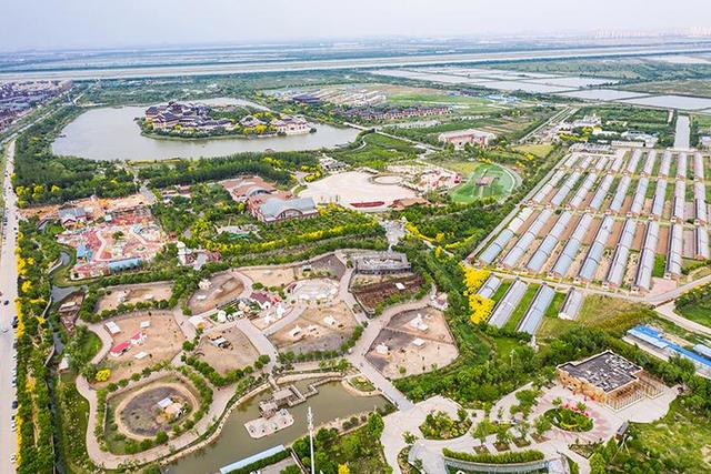 天津市静海区：城乡融合农稳粮丰 乡村生态活力不断